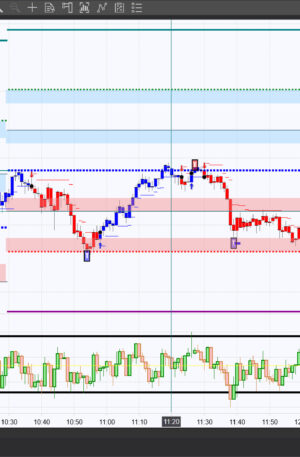 BWT Precision Indicators Initial License